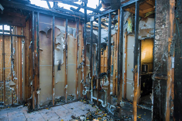 Professional Soot Cleanup technician working in Medina, WA