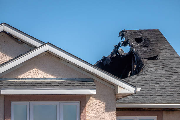 Top rated local Soot Cleanup specialists in Medina, WA